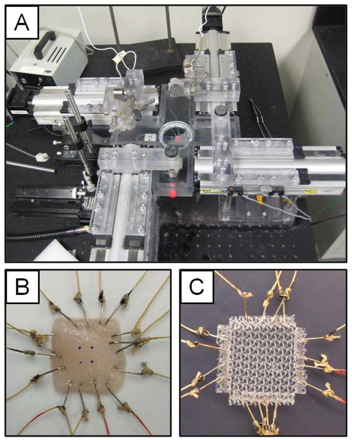 Figure 2