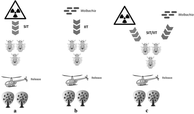 Fig. 2