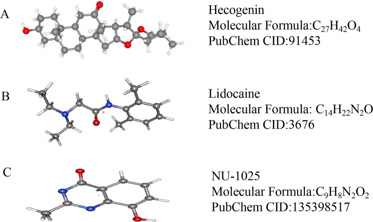 Figure 5