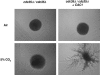 FIG. 8.