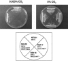 FIG. 7.