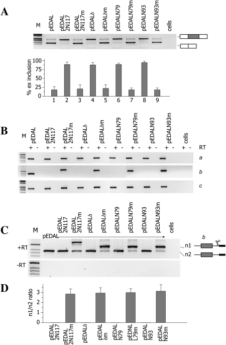 FIGURE 4.