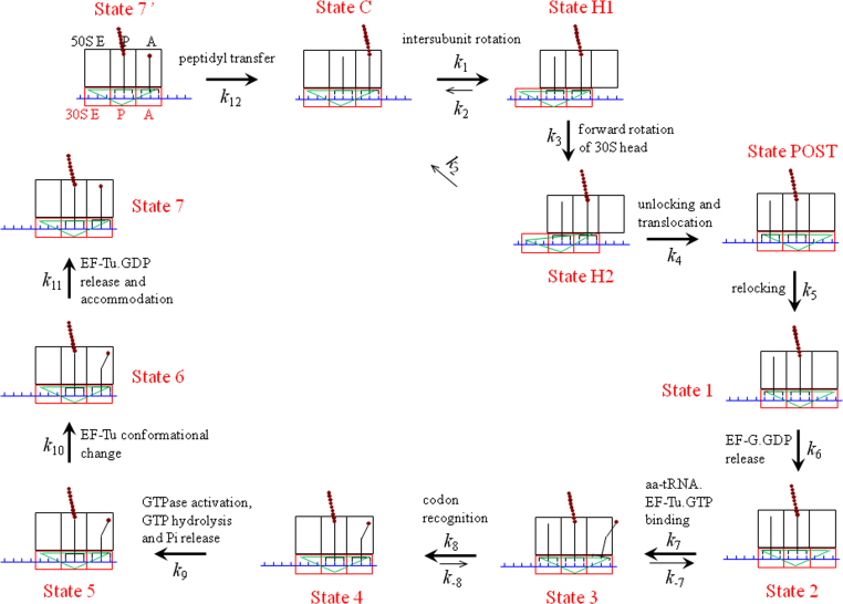 Fig. 3