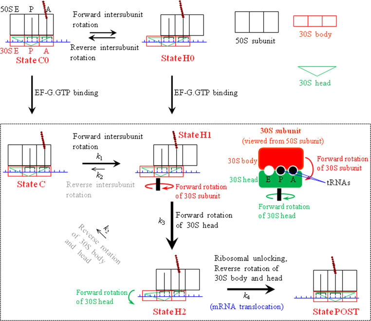 Fig. 2