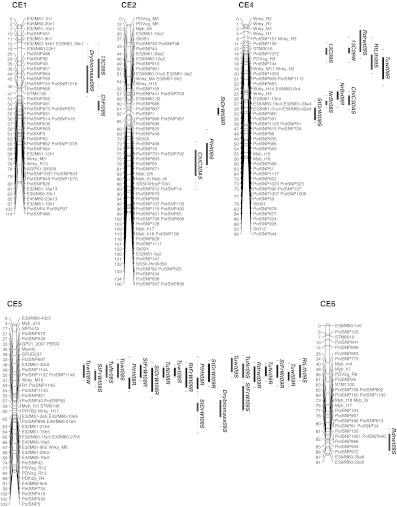 Fig. 2