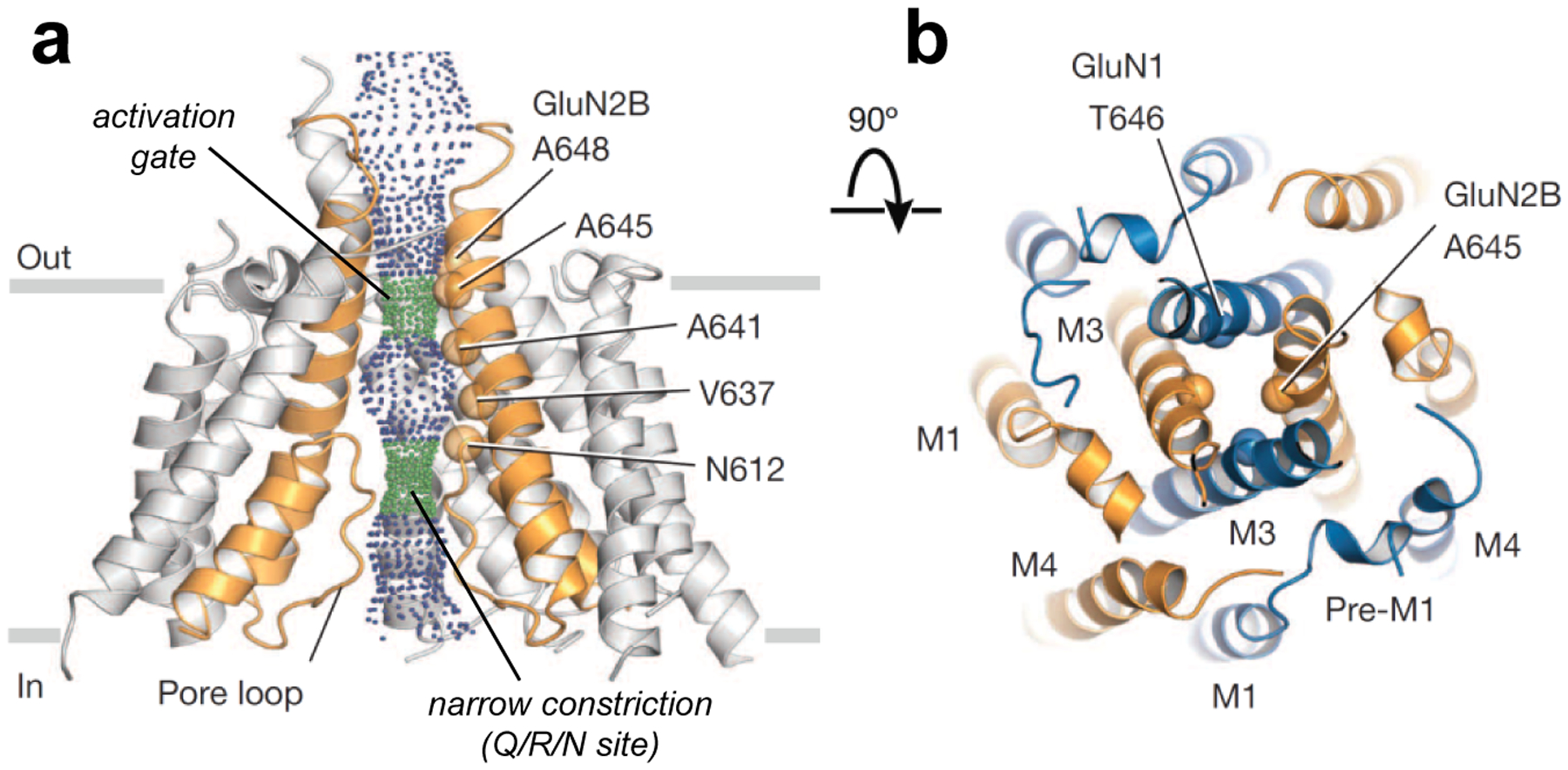 Figure 7.