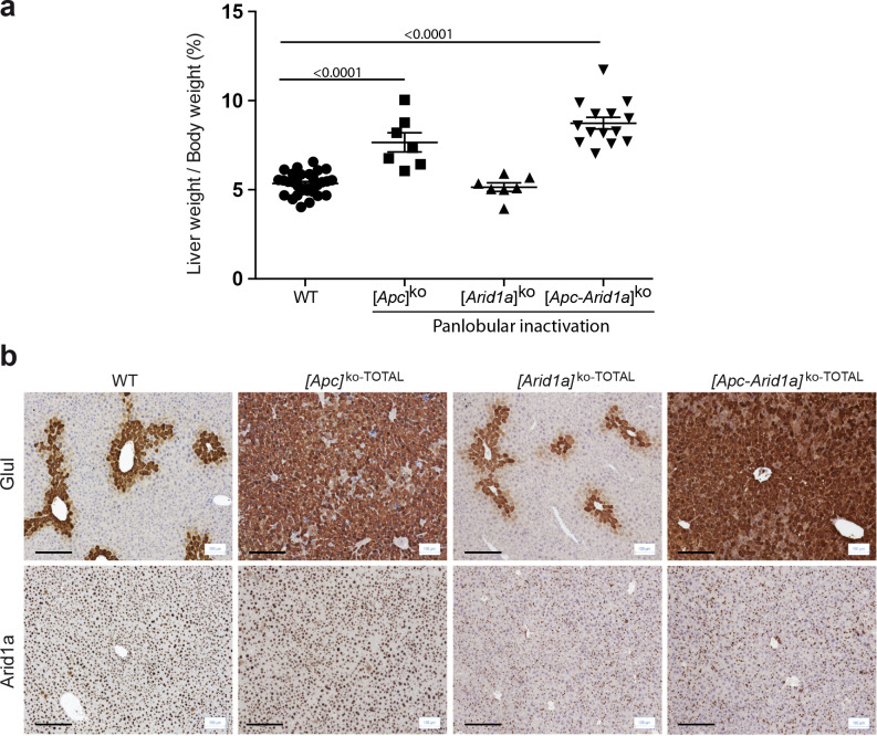 Figure 5—figure supplement 1.