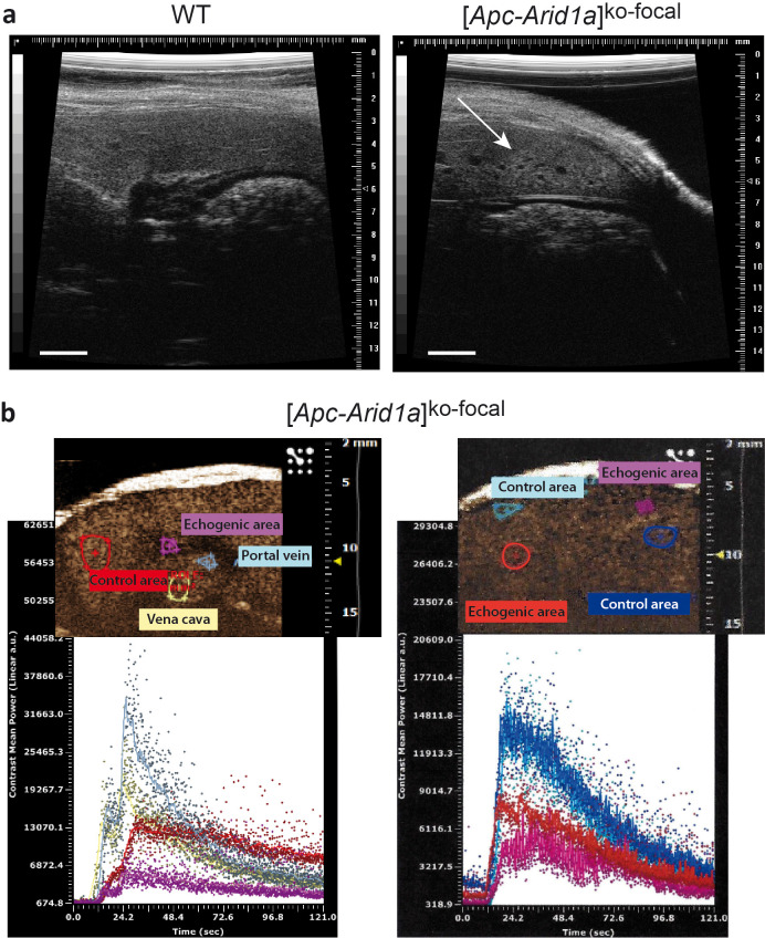 Figure 1—figure supplement 2.