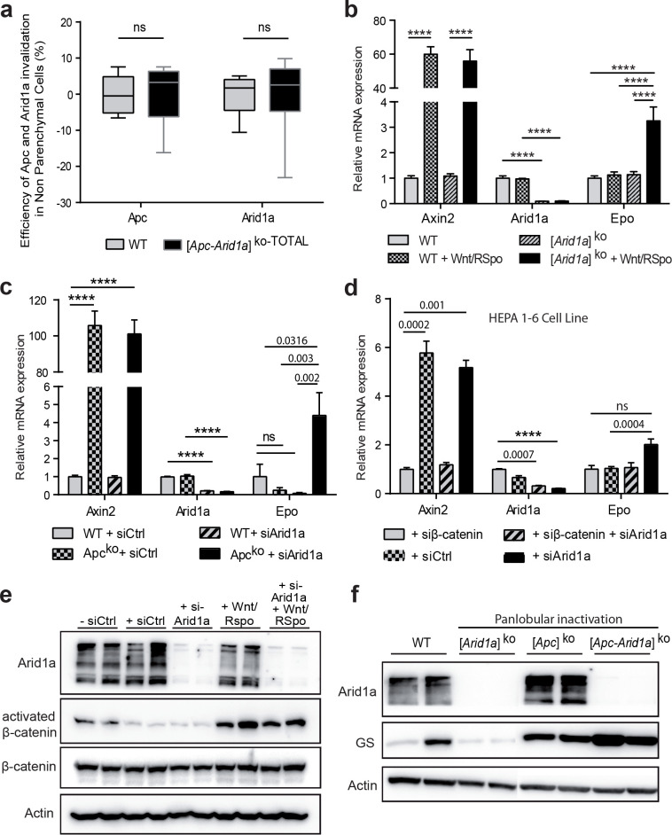 Figure 5—figure supplement 2.