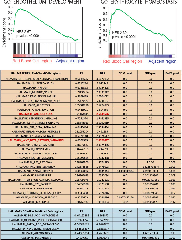 Figure 2—figure supplement 1.