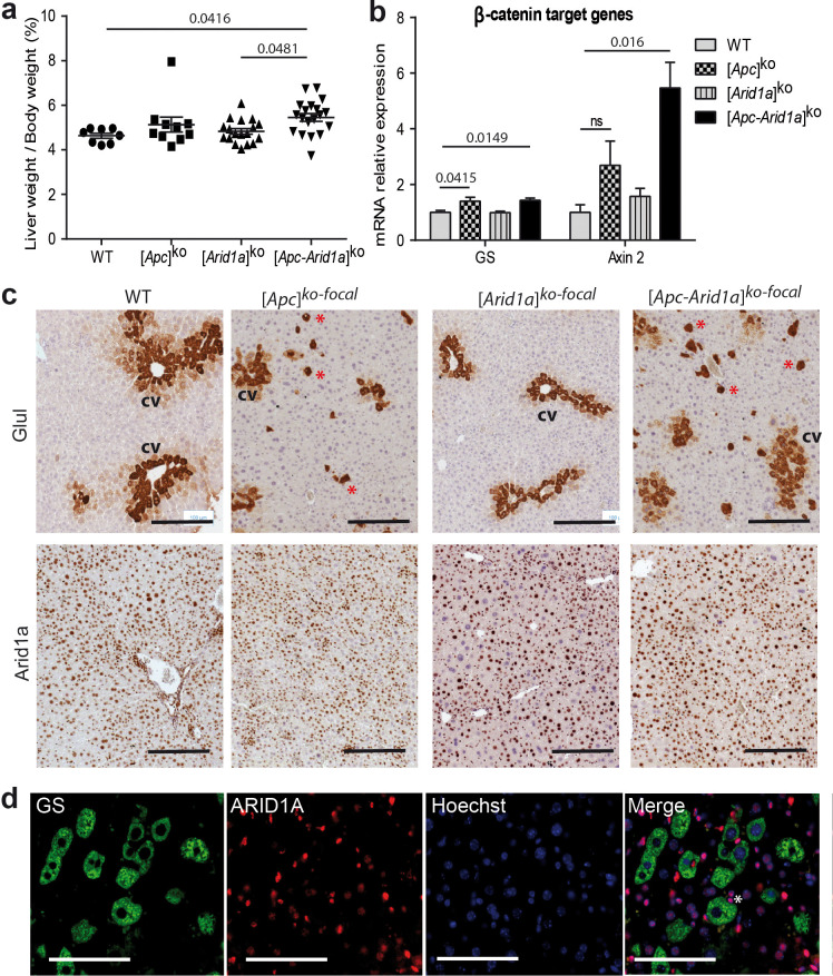 Figure 1—figure supplement 1.