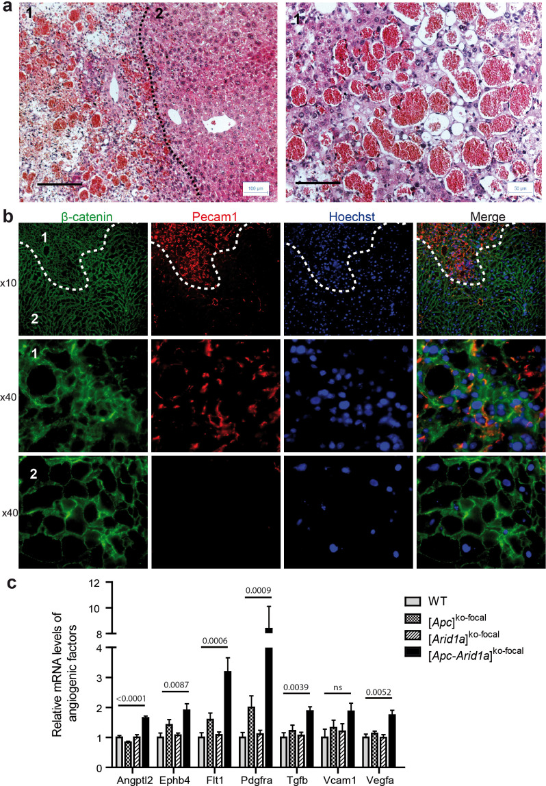 Figure 1—figure supplement 3.