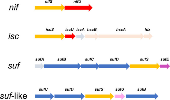 Figure 2 