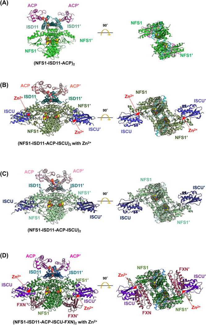 Figure 11 