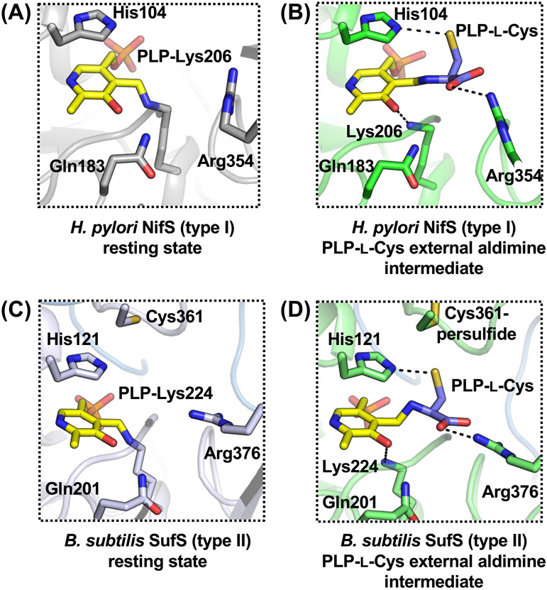 Figure 6 