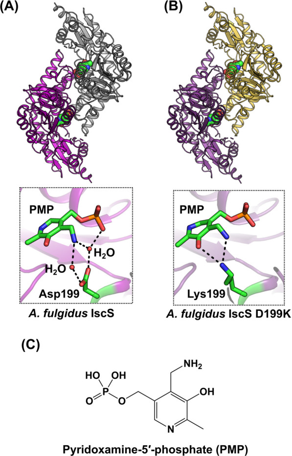 Figure 12 