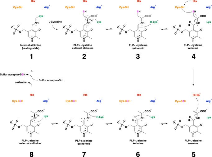 Figure 7 