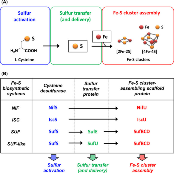 Figure 3 