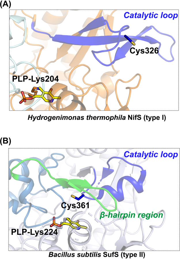 Figure 5 