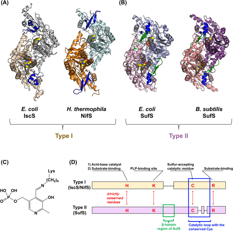 Figure 4 