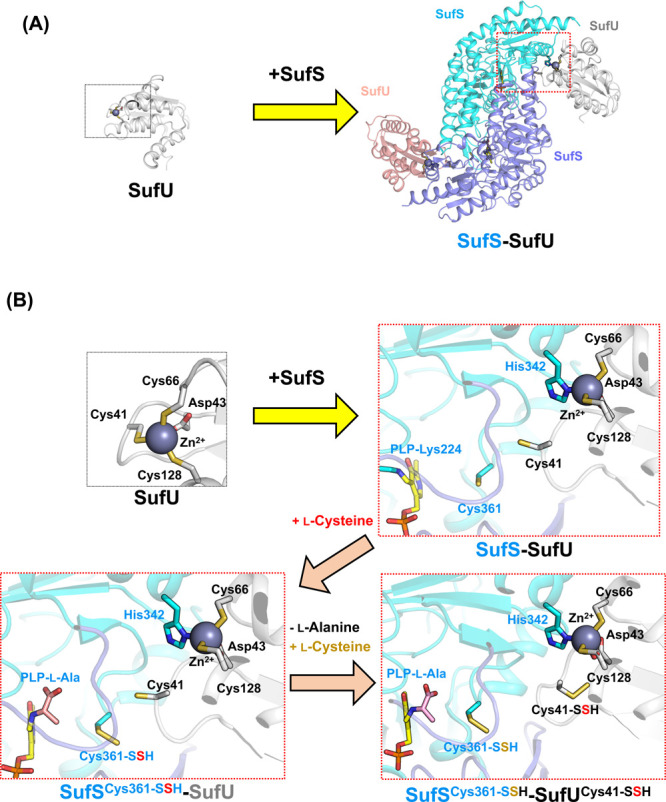 Figure 10 