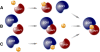 Figure 12.