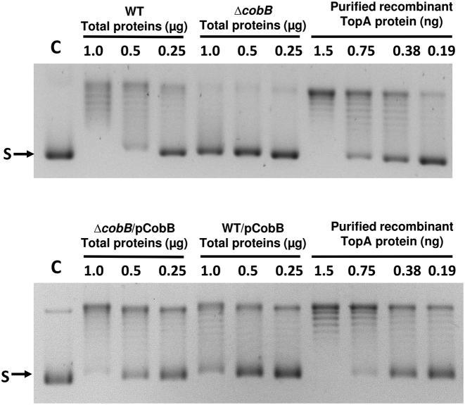 Figure 2.