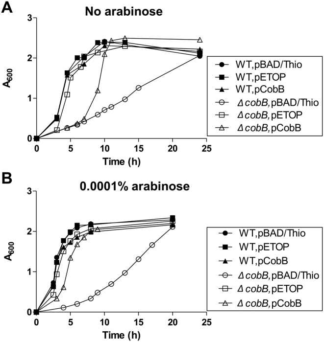 Figure 4.