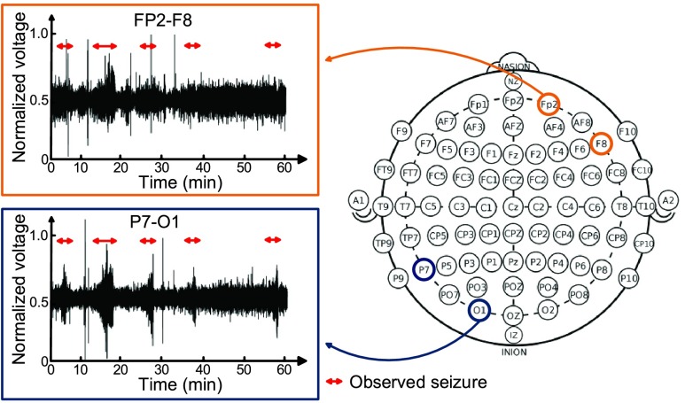 FIGURE 26.