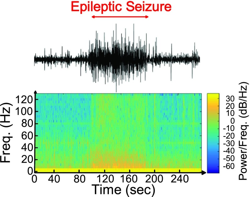 FIGURE 19.