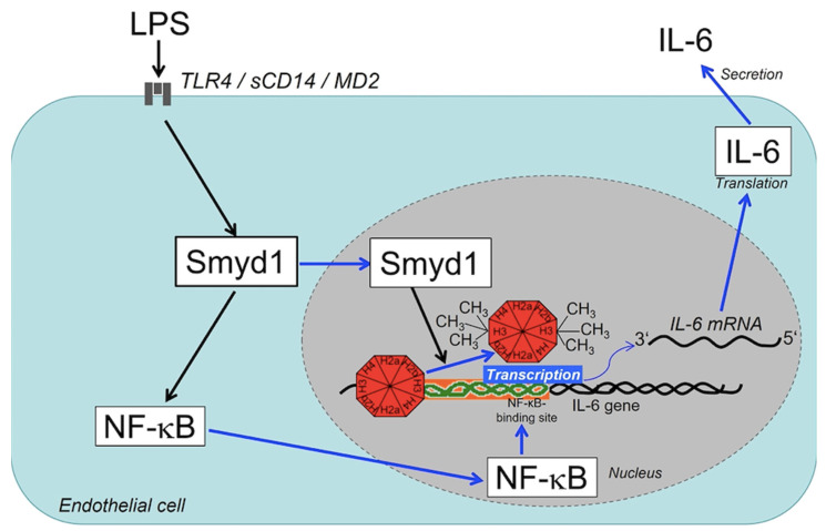 Figure 7