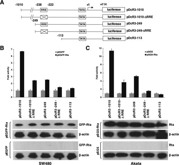 FIG. 6.