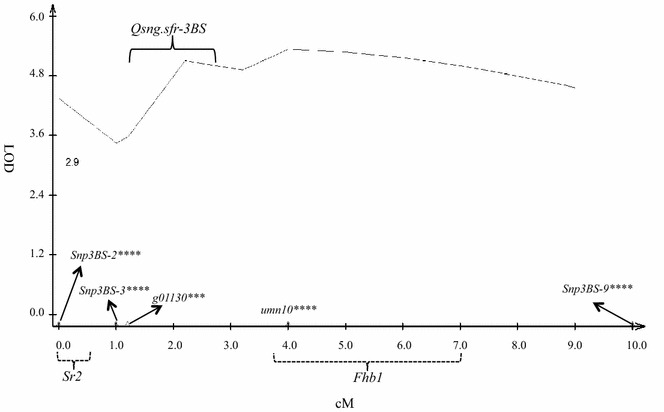 Fig. 5