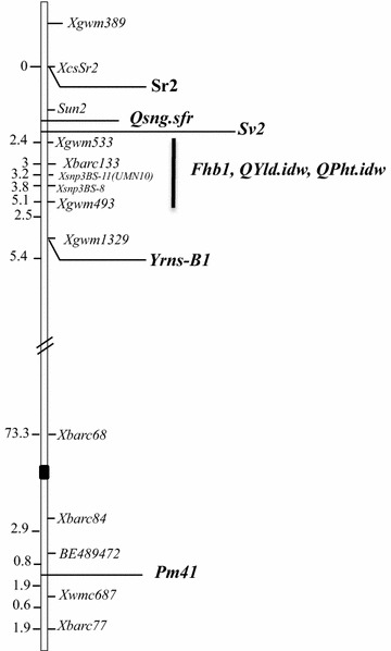 Fig. 2