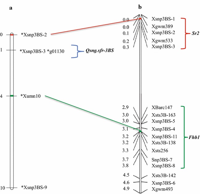 Fig. 4