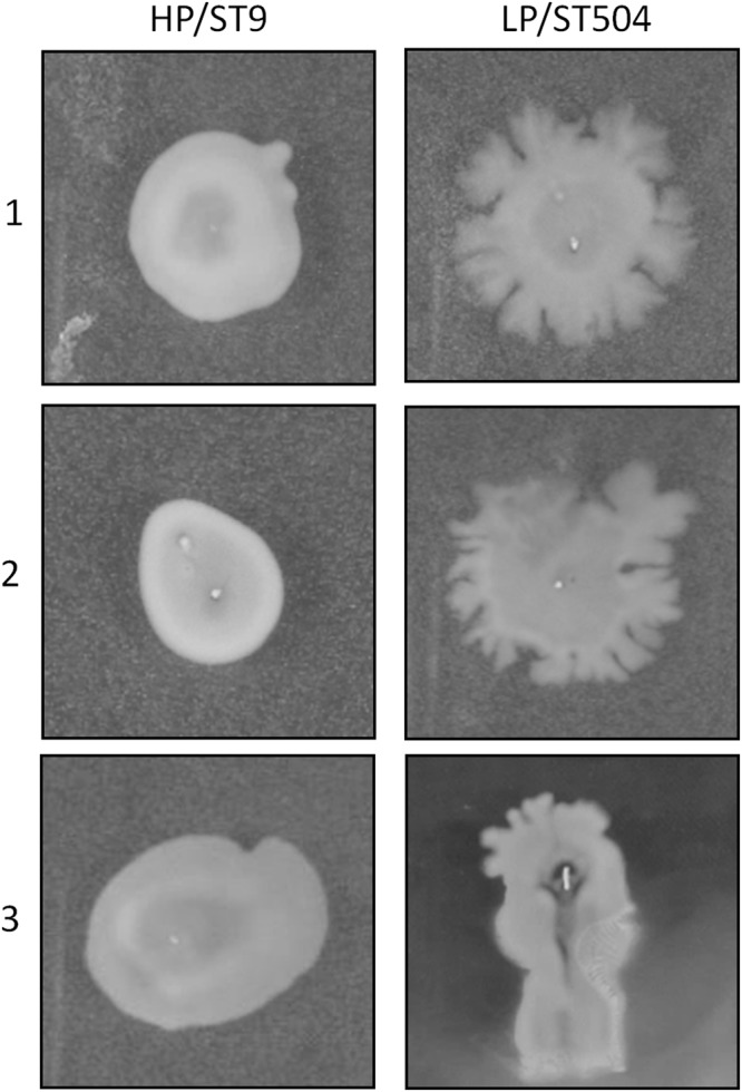 Figure 4
