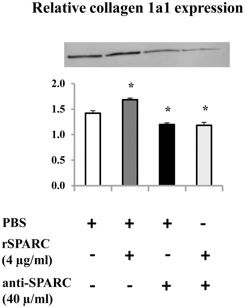 Fig 7