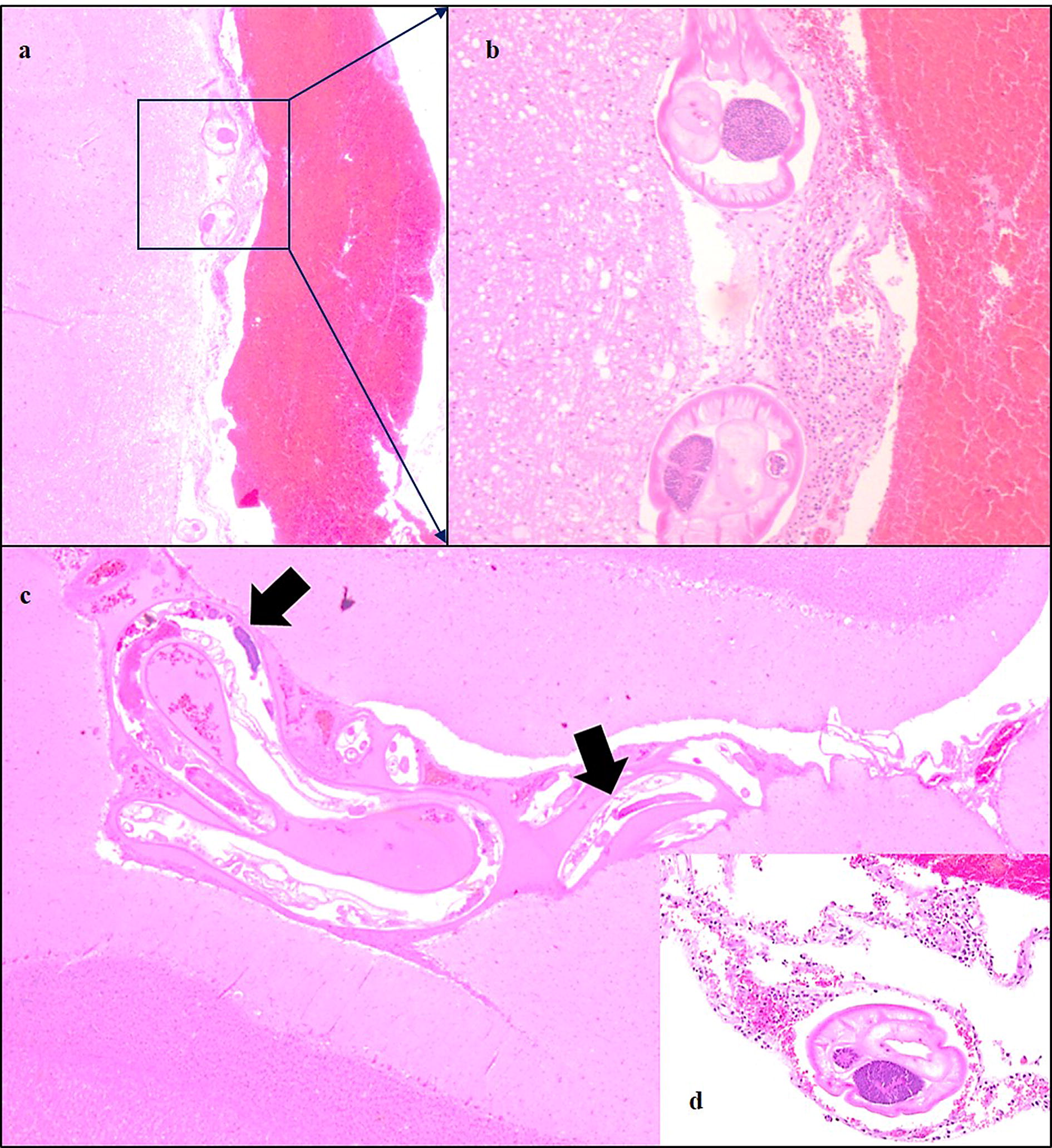 Fig. 3