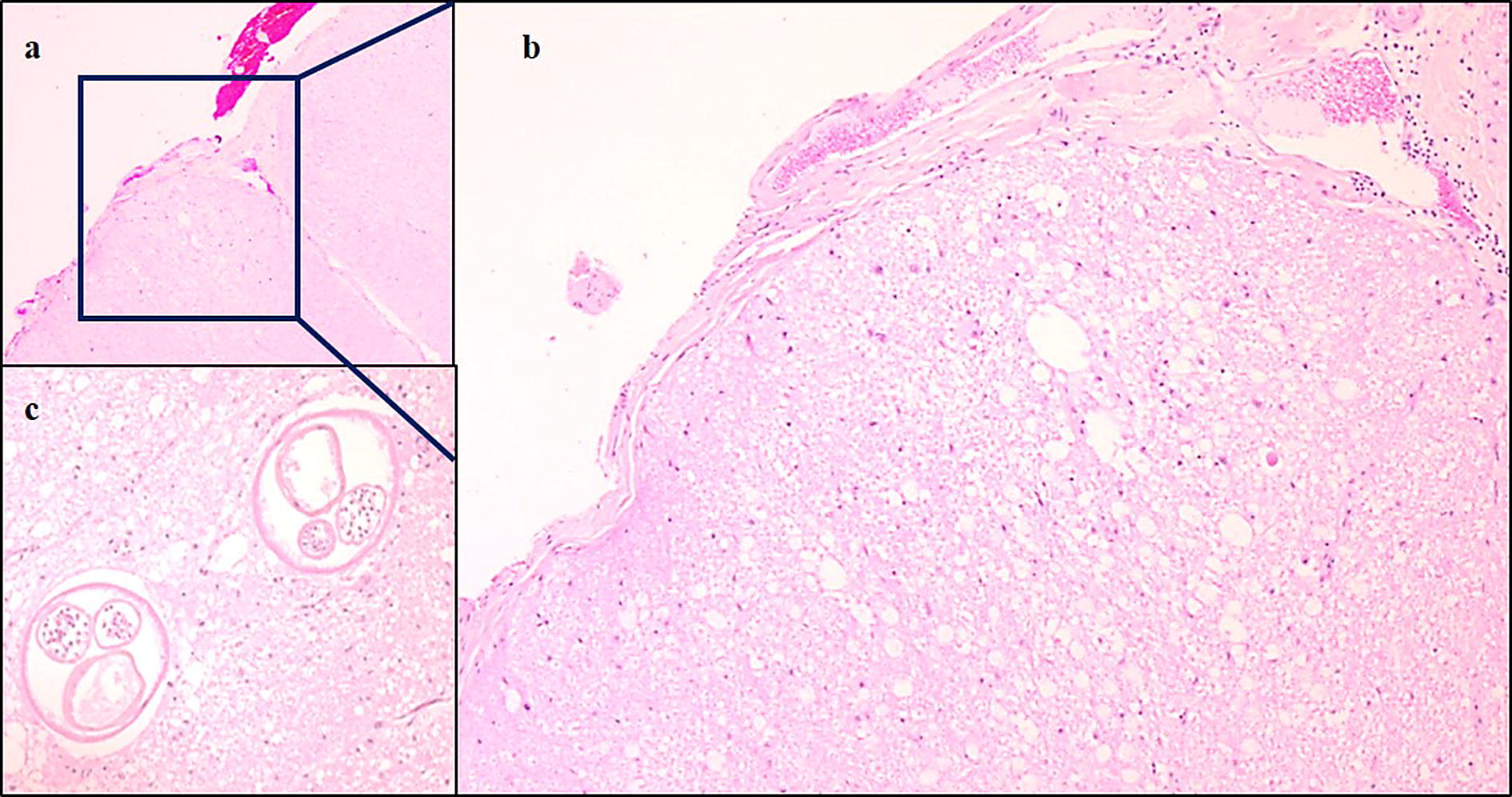 Fig. 8