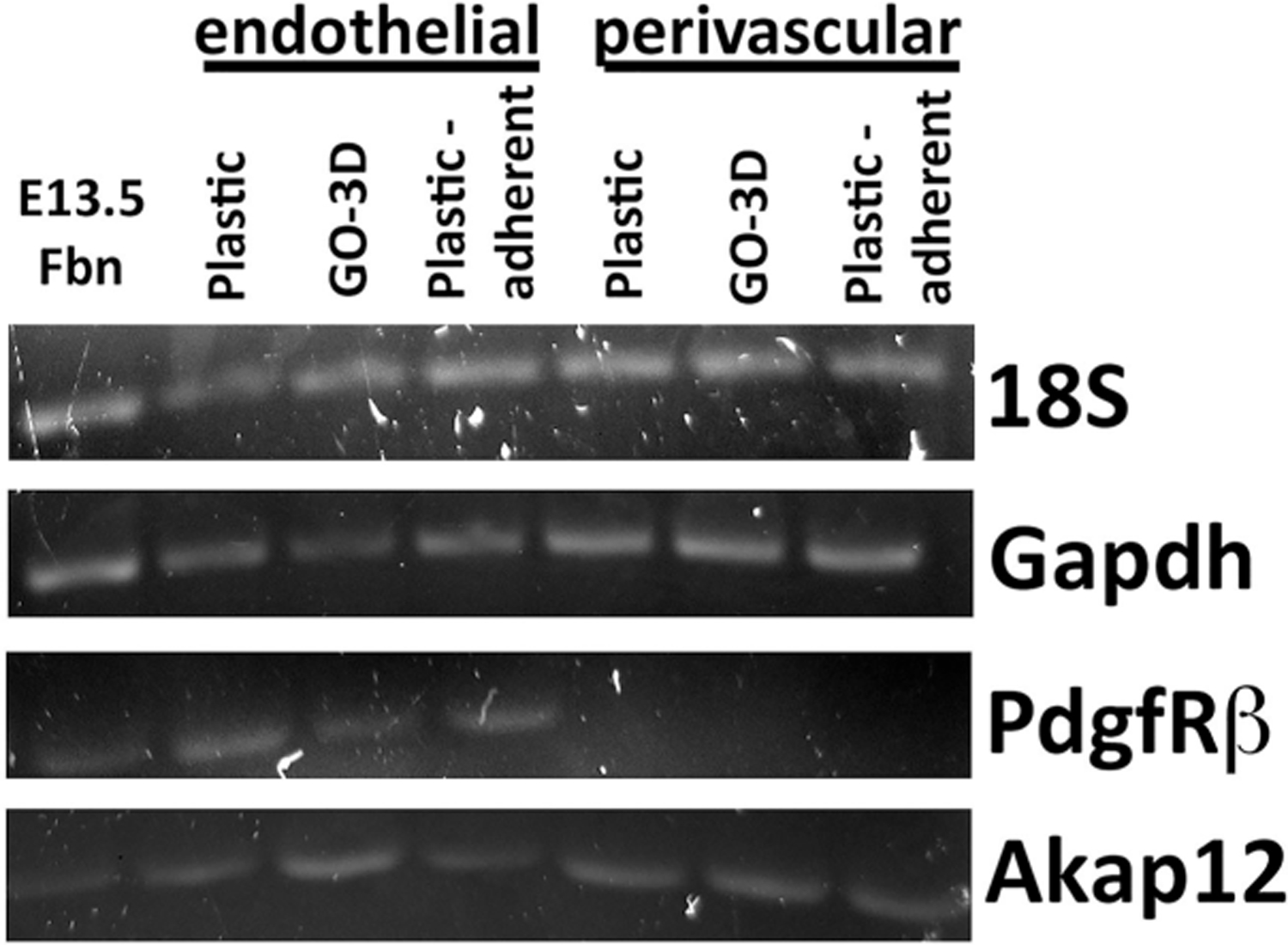 Figure 9.