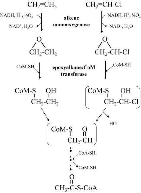 FIG. 8.