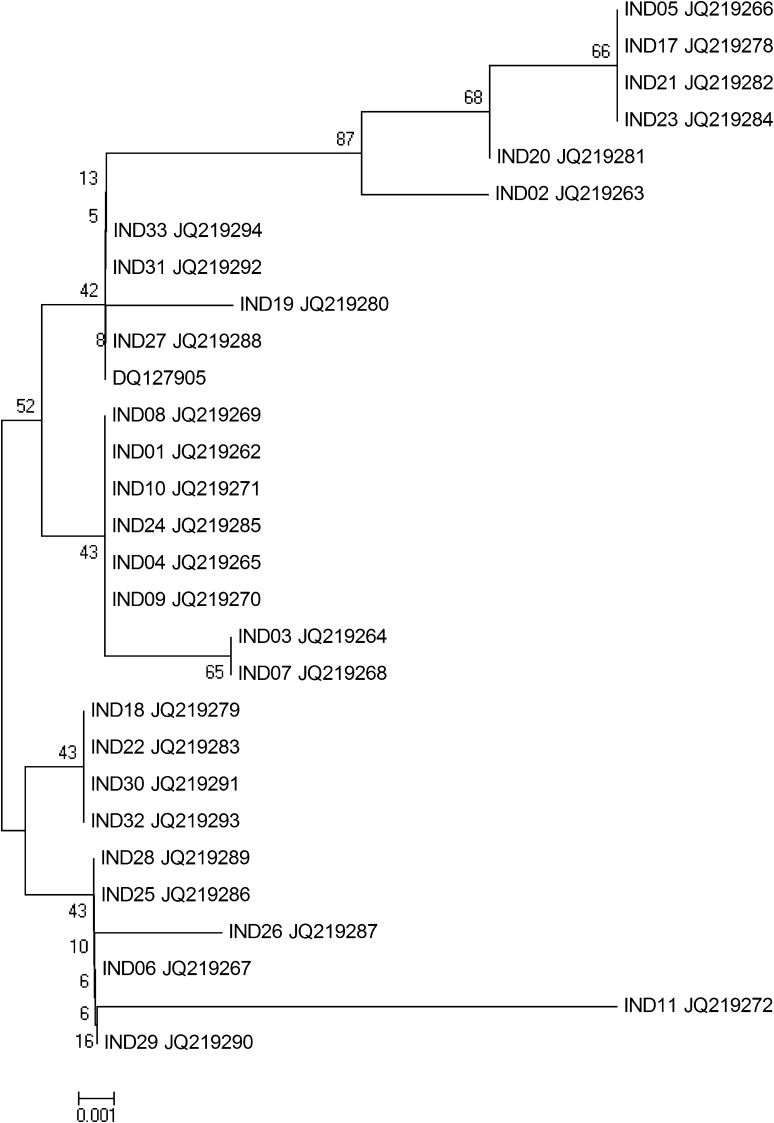 Fig. 1