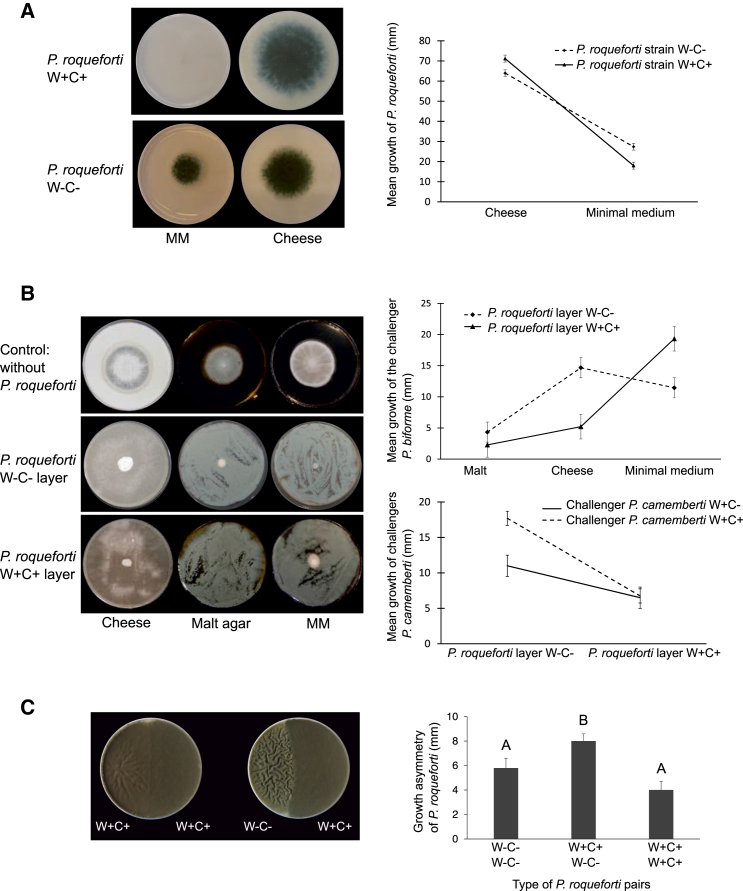 Figure 3