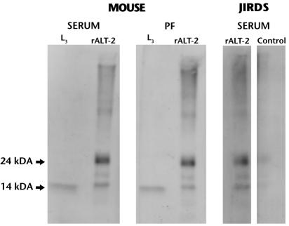 FIG. 5.