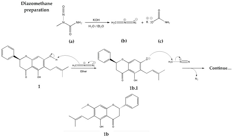 Scheme 4