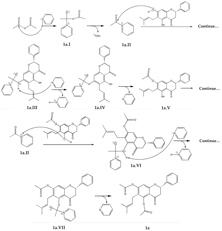 Scheme 2