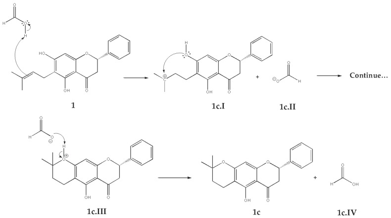 Scheme 6