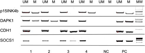 Figure 2