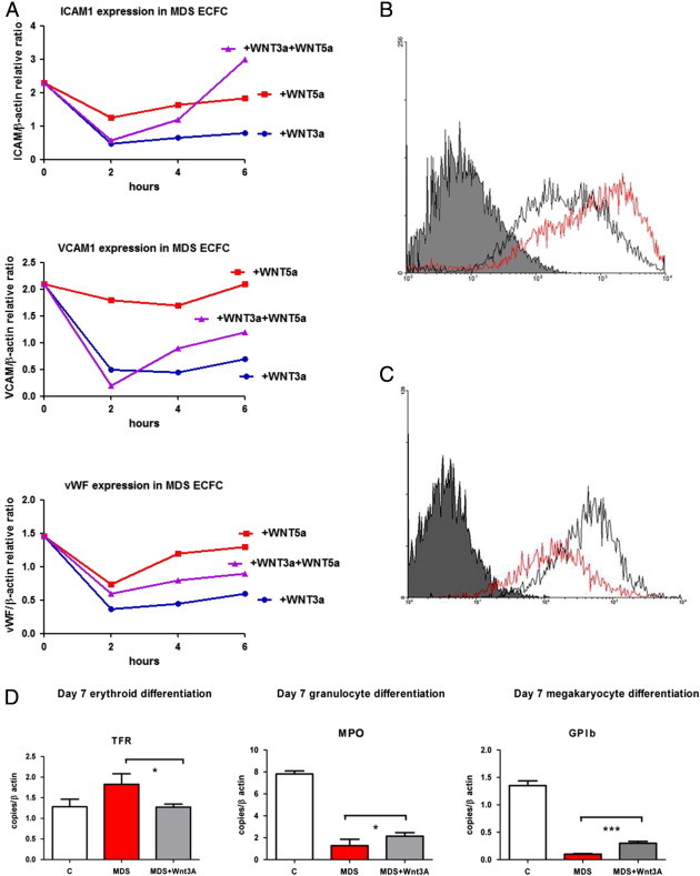 Figure 5