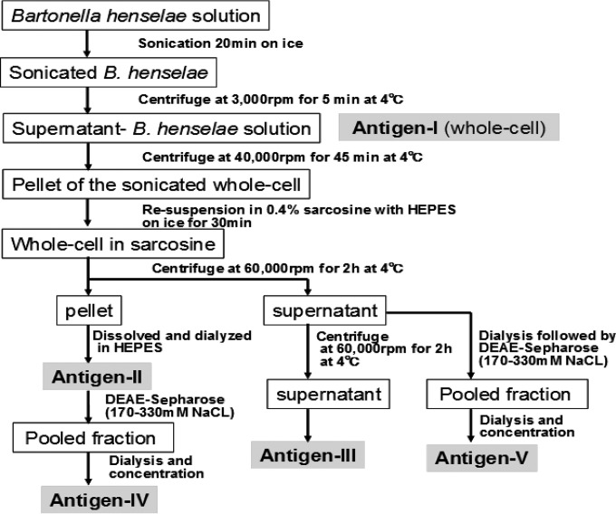 FIG 1